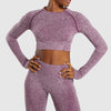 Women Seamless Sport Suit