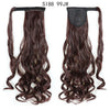 Wrap Around Hair Extension